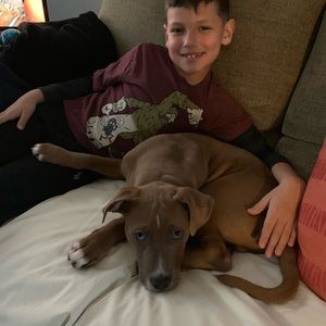 Meet your Posher, Danny